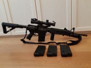 Bushmaster AR10