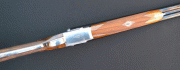 Franchi Albatros