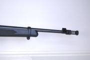 Ruger 10/22