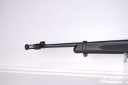 Ruger 10/22