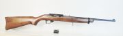 Ruger 10/22