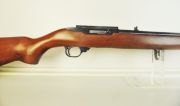 Ruger 10/22