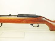 Ruger 10/22