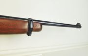 Ruger 10/22