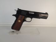 Colt ACE