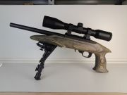 Ruger CHARGER