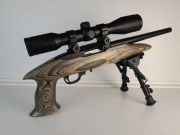 Ruger CHARGER