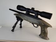Ruger CHARGER