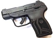 Ruger LCP MAX NITRIDE