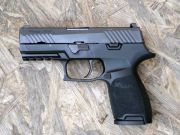 Sig Sauer P320 3.9”