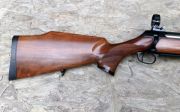 Sauer 202