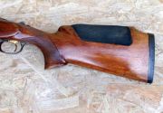 Beretta ASE GOLD
