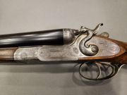 Abbiatico & Salvinelli Cani esterni