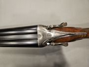 Abbiatico & Salvinelli Cani esterni