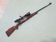 Sauer 202 L