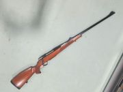Sauer