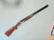 Rizzini OMNIUM