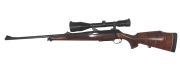 Sauer & Sohn 202 L cal. 25-06 Rem