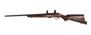 CZ CZ 452 America