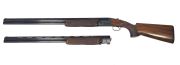 Rizzini