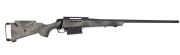Bergara