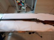 Daffini doppietta cani esterni