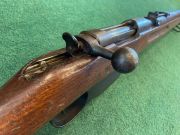 Steyr M-95 LUNGO