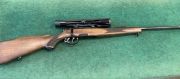 Steyr Mannlicher L