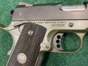 Wilson Combat CQB SERVICE GRADE