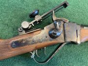 Chiappa SHARP 1874 SPORTING
