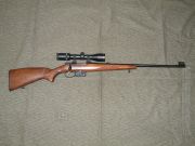 CZ 527