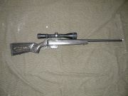 CZ Varmint Laminated