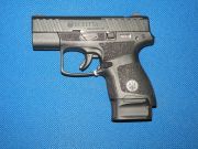 Beretta APX Sub Compact