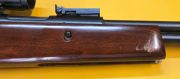 Norconia B 36