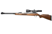 Diana 460 magnum