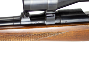 Steyr Mannlicher MCA