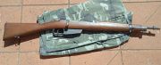 Carcano 38TS