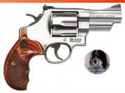 Smith & Wesson 629