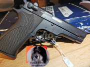 Smith & Wesson 3904