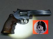 Smith & Wesson 686-6