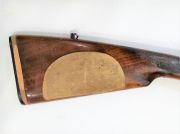 Beretta 301