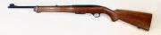 Winchester MODEL 100