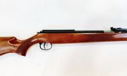 Diana 460 MAG. T06