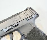 Sig Sauer P365 MS X-Ray-3