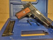 Colt ACE