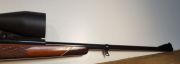 Mauser 66