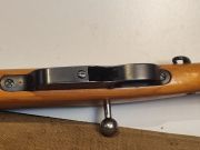 Steyr Mannlicher M95