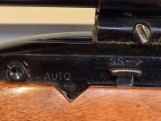 Beretta WXXII
