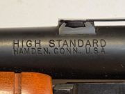 High Standard RIOT
