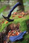 BlackFox - Evolution Axe by Peter Fegan - BF-735 - ascia tomahawk